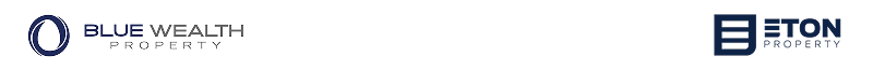 Blue Wealth Logo